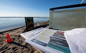 Photo of laptop