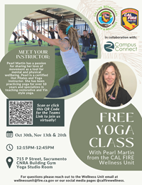 Yoga Flyer