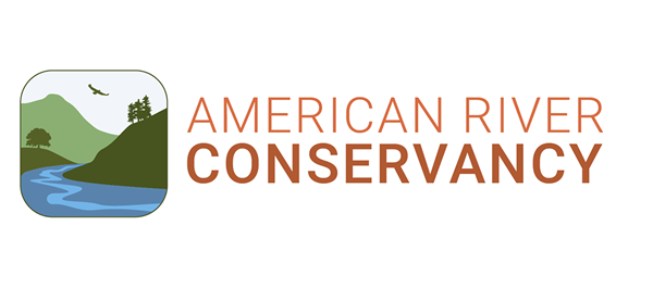 Arc Logo