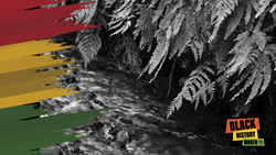 Black History Month Digital Meeting Background