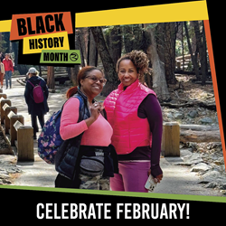 Black History Month social media