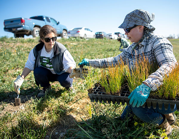 Photo of field study in progress