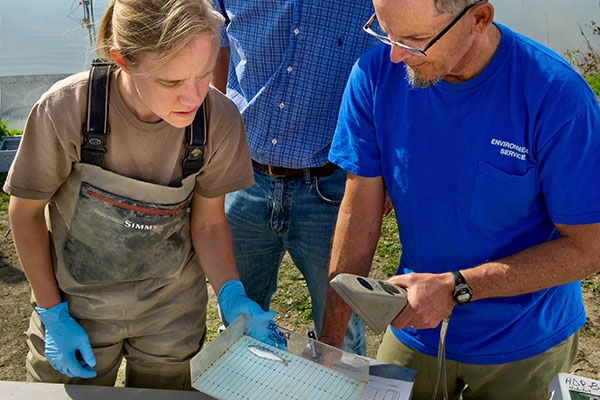 Photo of monitoring and stewardship activities