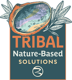 Tribal affairs Image