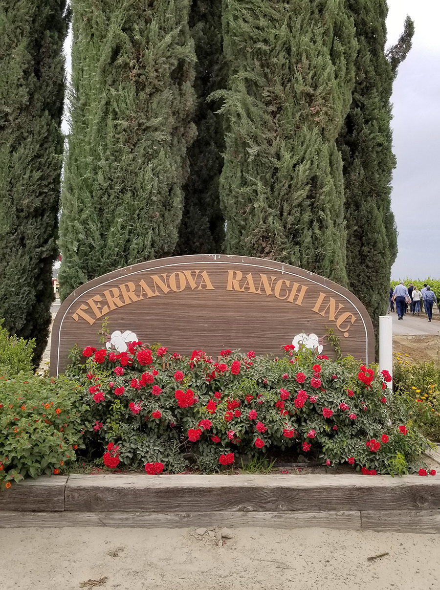 Located in Helm, Calif., about 30 miles southwest of Fresno, Terranova Ranch produces a variety of vegetables, fruits and nuts, as well as wine grapes.  