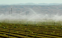 An irrigation system waters an agricultural field in California. 