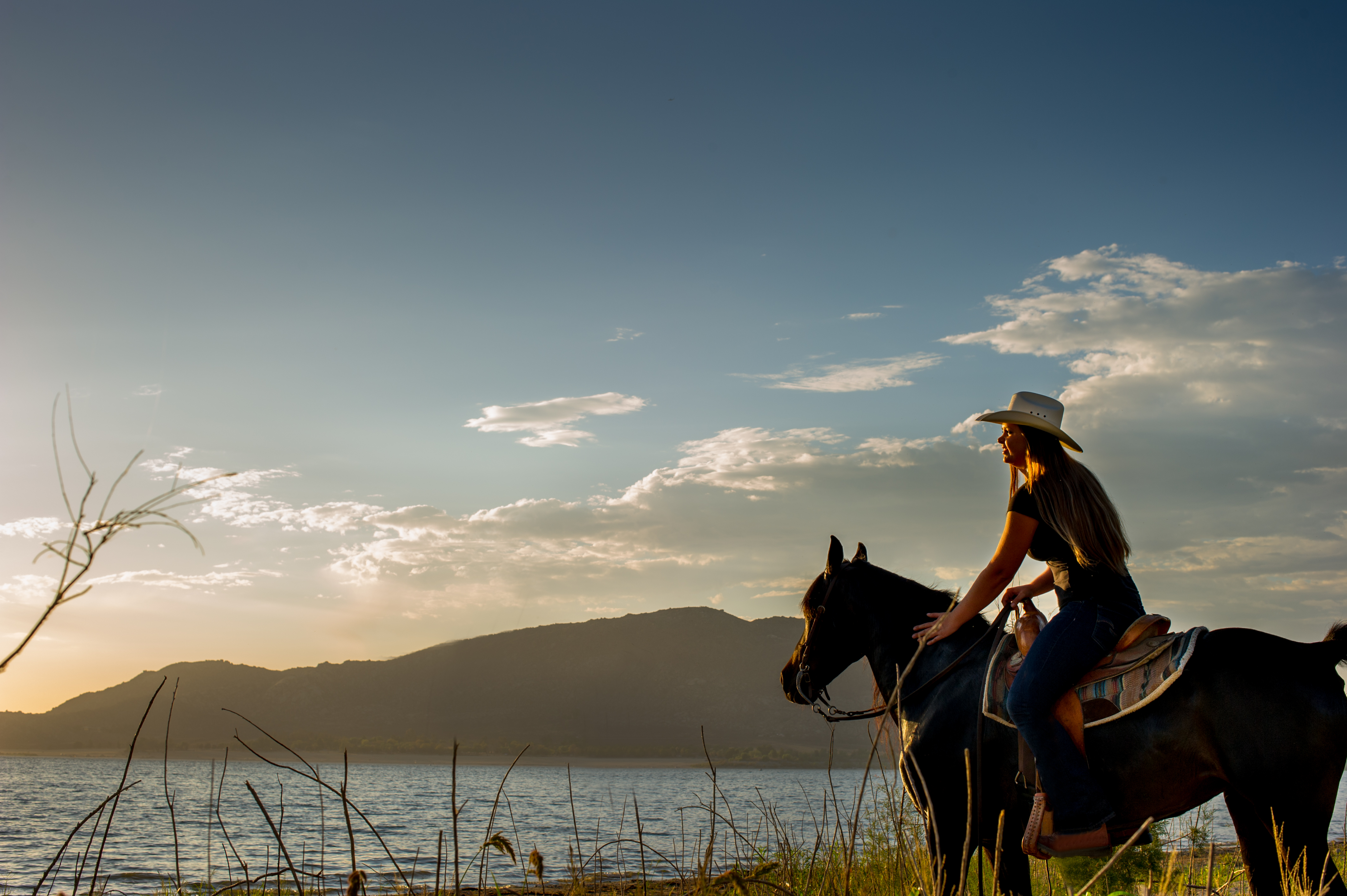 Horseback Rider at Lake Perris