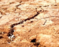 File footage of dried earth in California during drought conditions.