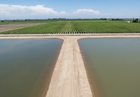 A drone photo of water diverted onto a newly constructed groundwater recharge basin at Mountain View and Temperance near Selma in Fresno County, California. Photo taken May 13, 2024.