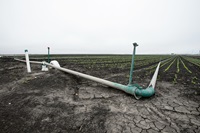 Row crops with groundwater irrigation in Castroville