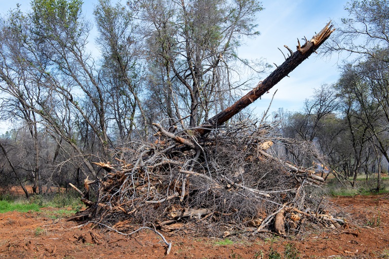 Fuel load management work, including controlled burns, is conducted by CalFire in conjunction with California Department of Water Resources at Loafer Creek State Recreation Area in Oroville, California. The work is part of the fuel load management program which reduces fire risk, protects public safety, and enhances forest and watershed health.