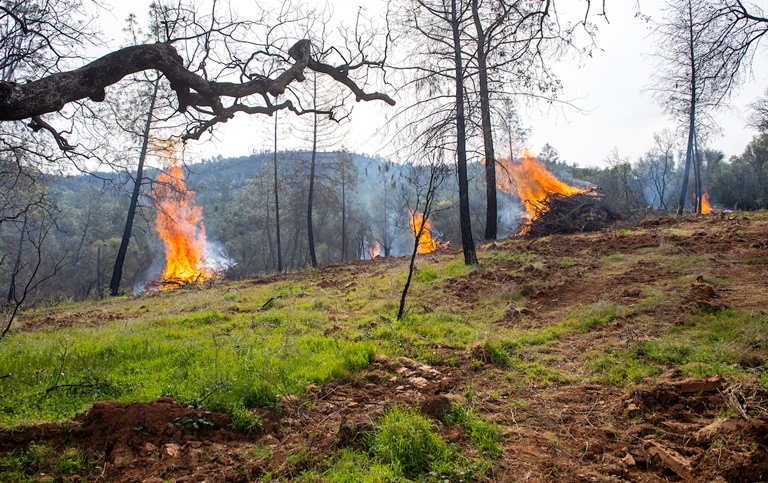 Fuel load management work, including controlled burns, is conducted by CalFire in conjunction with California Department of Water Resources at Loafer Creek State Recreation Area in Oroville, California. The work is part of the fuel load management program which reduces fire risk, protects public safety, and enhances forest and watershed health. 