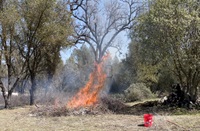 A controlled burn facilitated by the North Fork Mono Tribe.