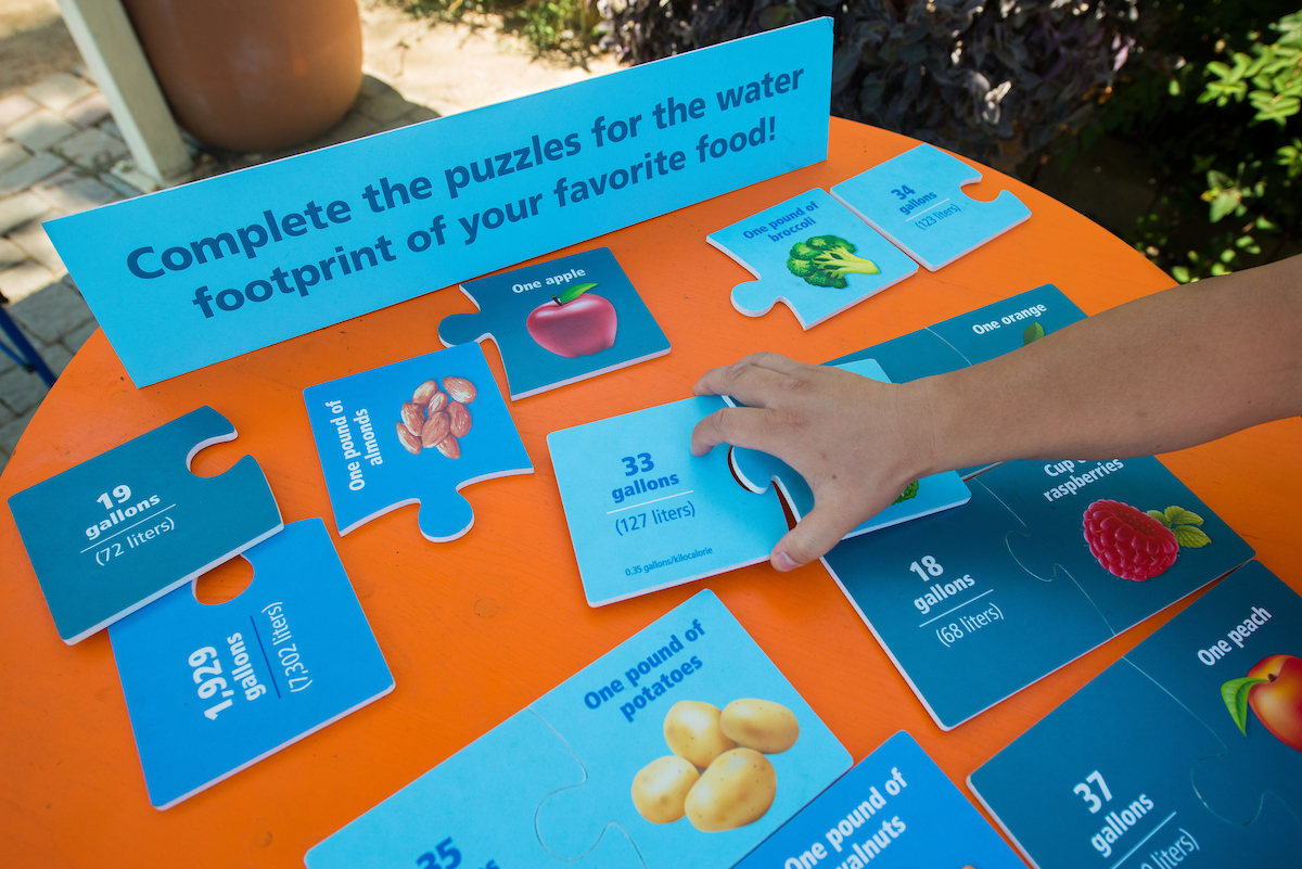 At the California State Fair, DWR offered table top games to educate kids of all ages about water and food production. 