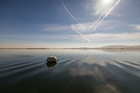 O’Neill Forebay in Merced County, part of the San Luis Reservoir. Photo November 13, 2024.