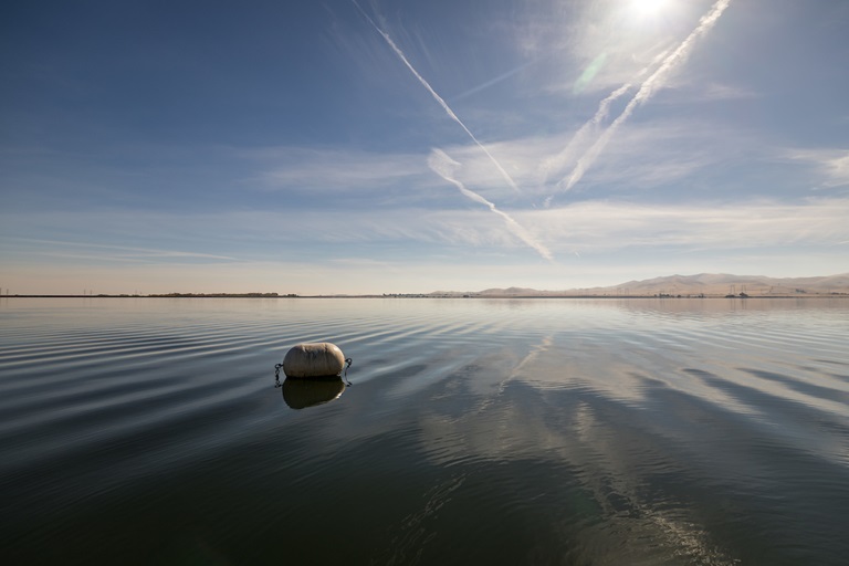 O’Neill Forebay in Merced County, part of the San Luis Reservoir. Photo November 13, 2024.