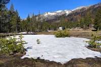 Very little snow remains on the ground for the California Department of Water Resources' fourth snow survey of the 2022 season at Phillips Station in the Sierra Nevada Mountains. The survey is held approximately 90 miles east of Sacramento off Highway 50 in El Dorado County.