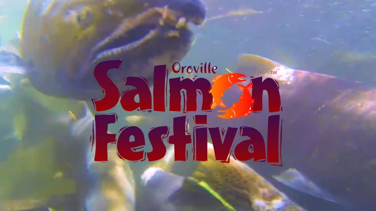Oroville Salmon Festival