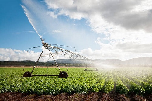 Crop Irrigation 