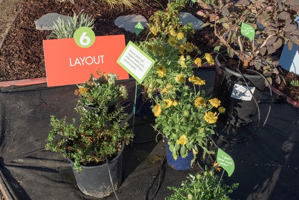 A photo of plants with a Layout sign.