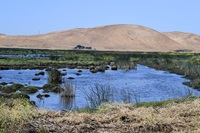 A view of the completed work at Arnold Slough during a ceremony to celebrate the restoration work about to begin at Bradmoor Island and the construction completion at Arnold Slough.